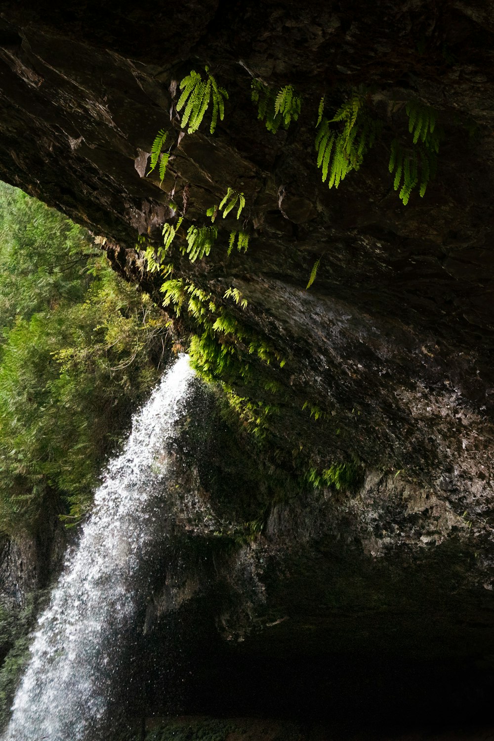 a small waterfall is coming out of a cave