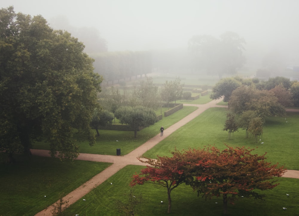 a foggy day in a park with trees and benches