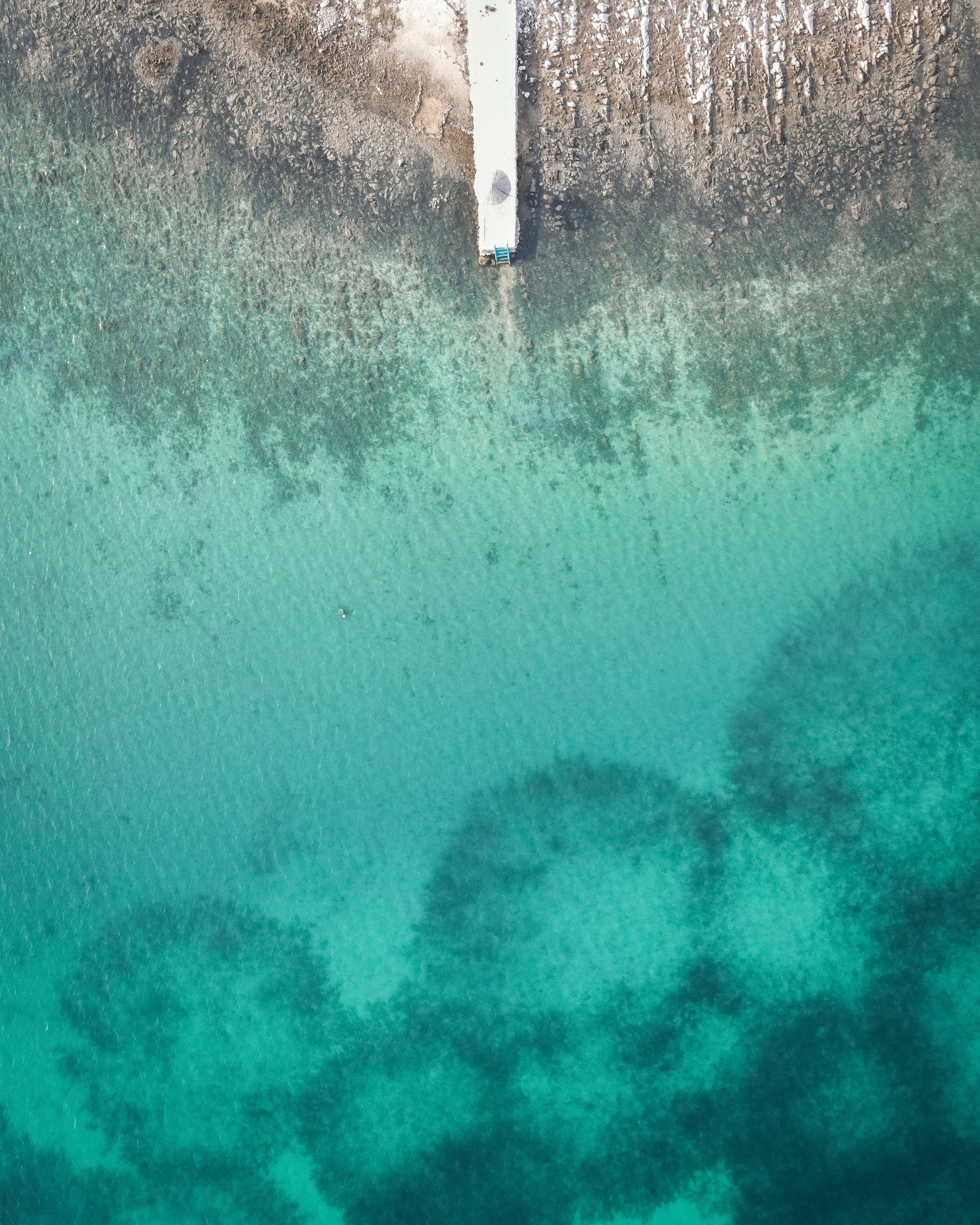 Photo by melimascella_