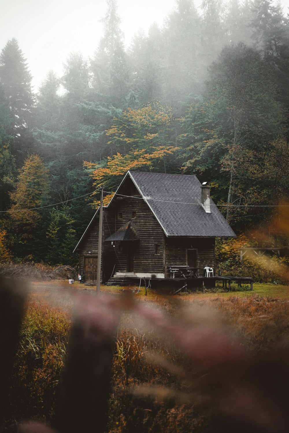 a house in the middle of a forest