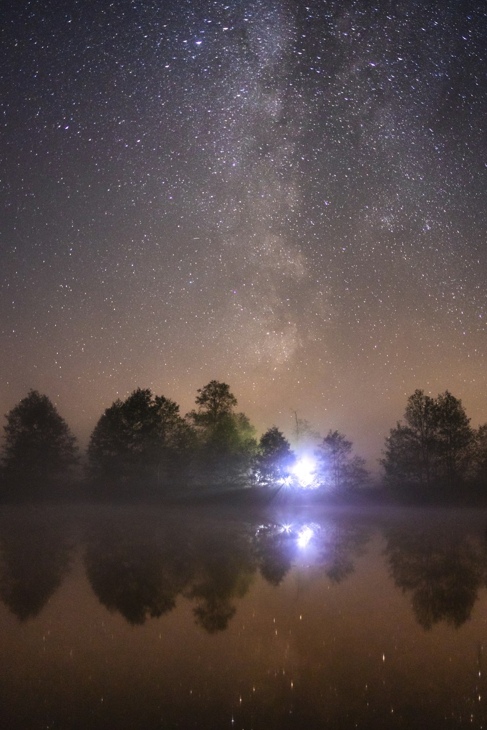 the night sky is filled with stars and trees