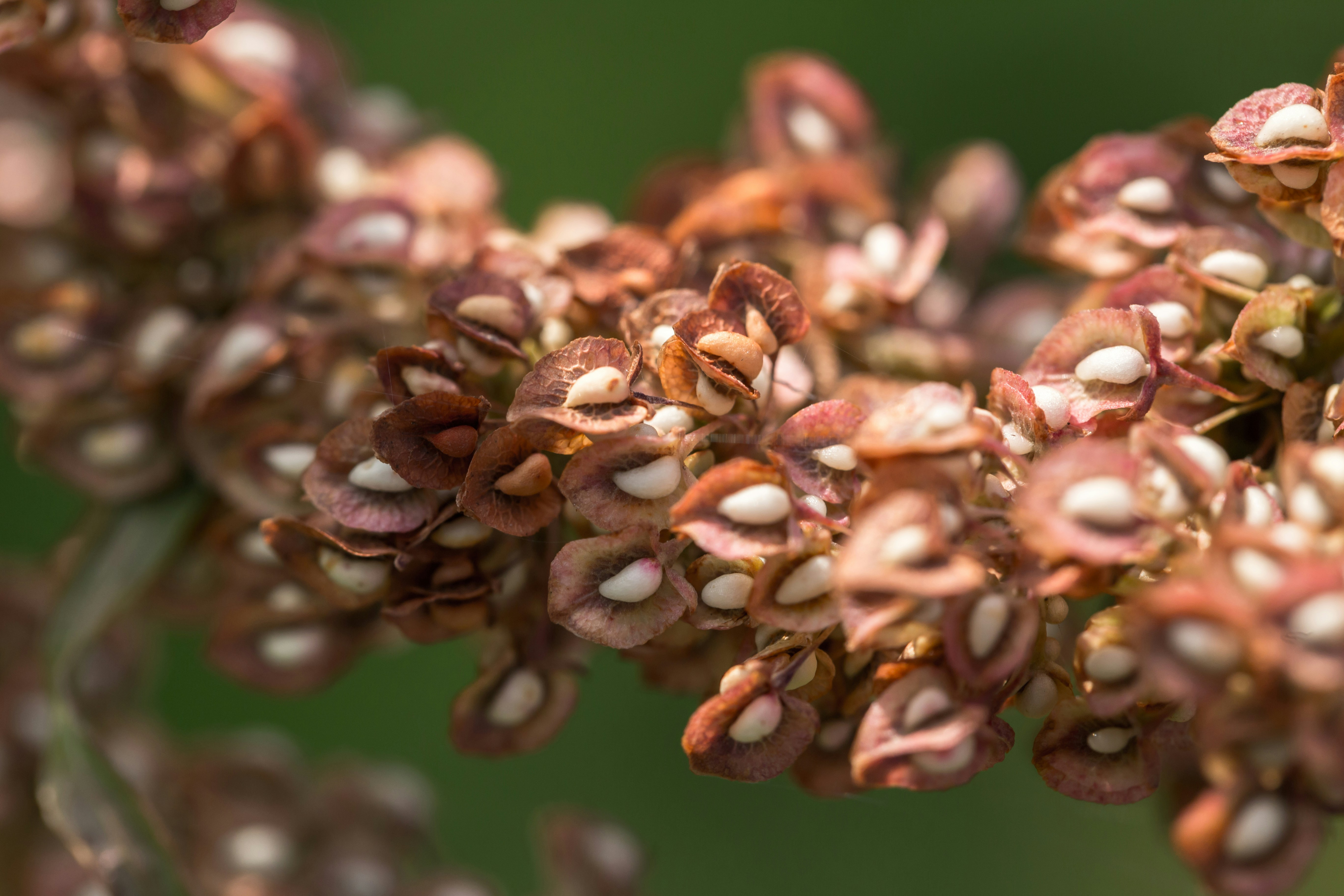 Photo by blooddrainer