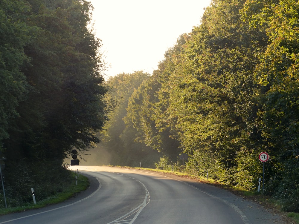 a curved road surrounded by trees and bushes