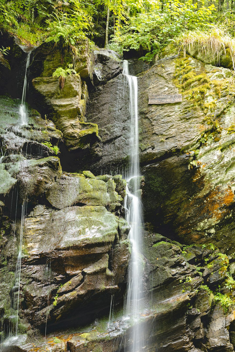 a waterfall in the middle of a lush green forest