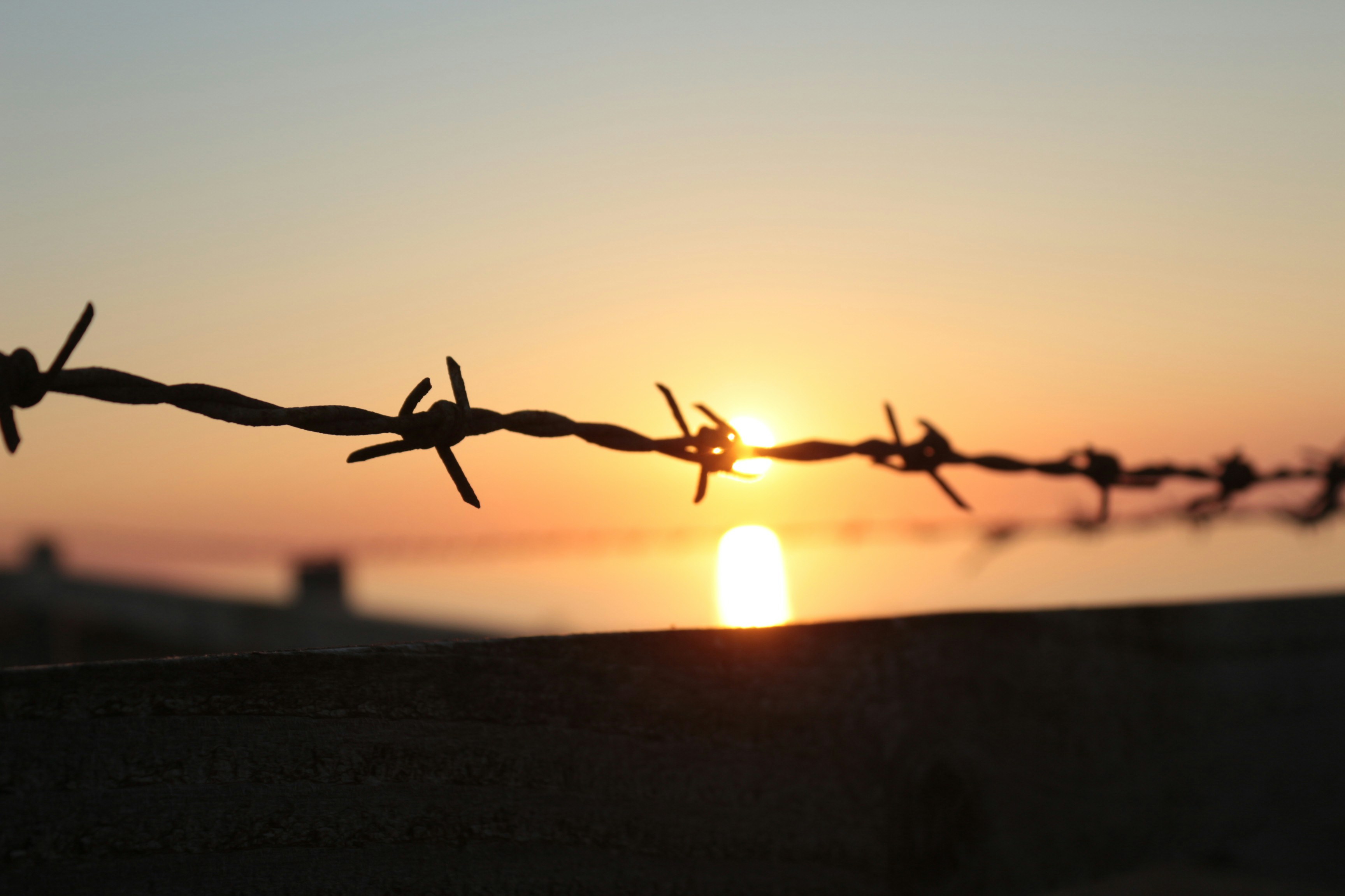 Photo by lidia_nikole