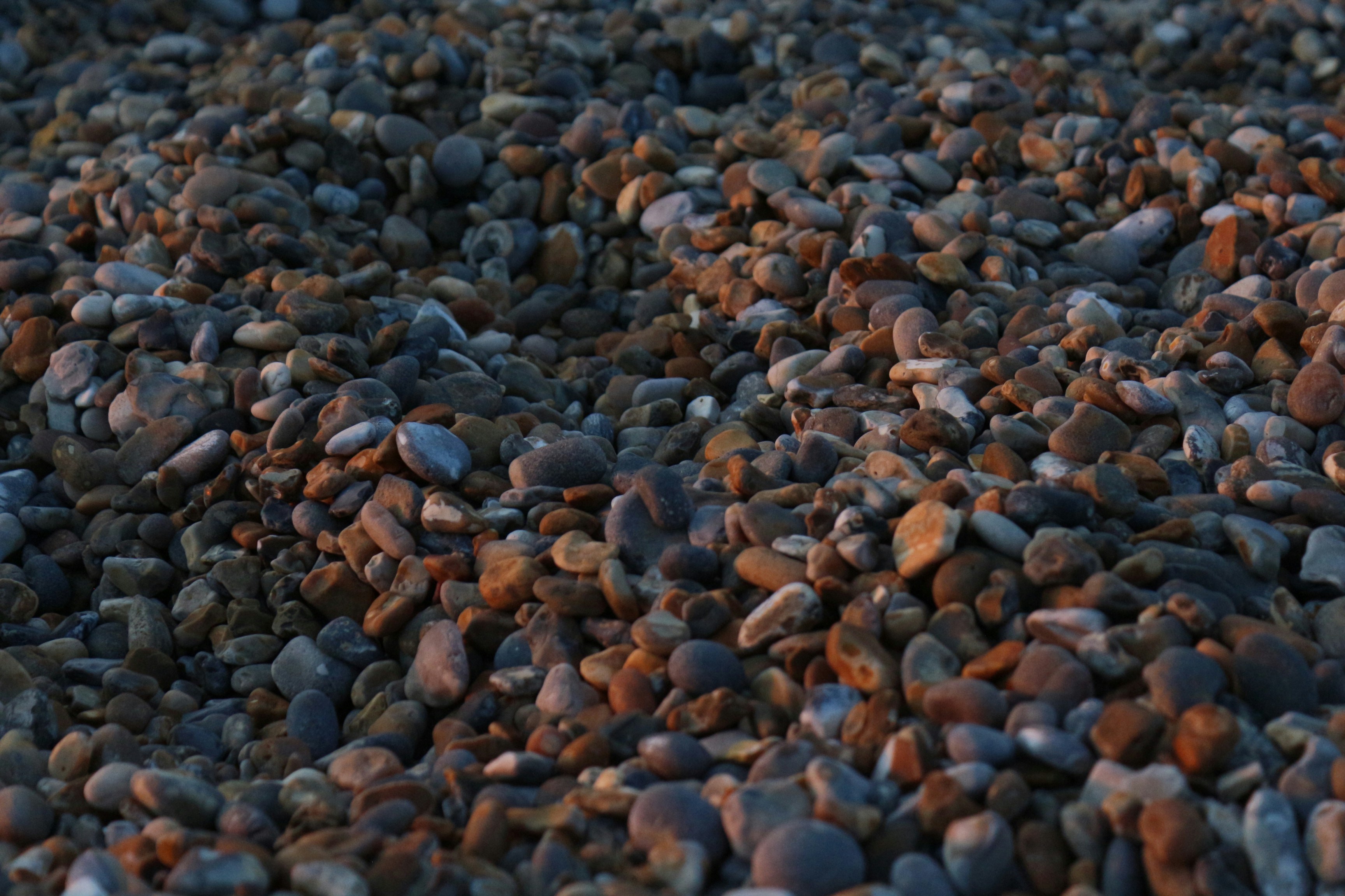 Photo by lidia_nikole