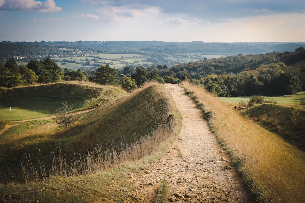 a dirt path in the middle of a grassy field