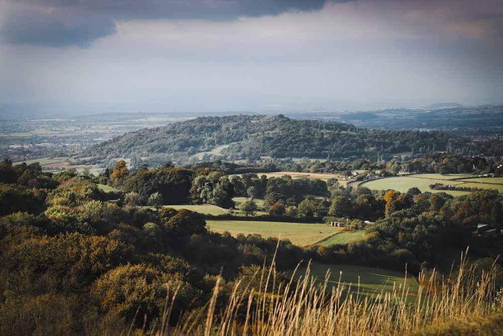 a scenic view of a valley with trees in the foreground