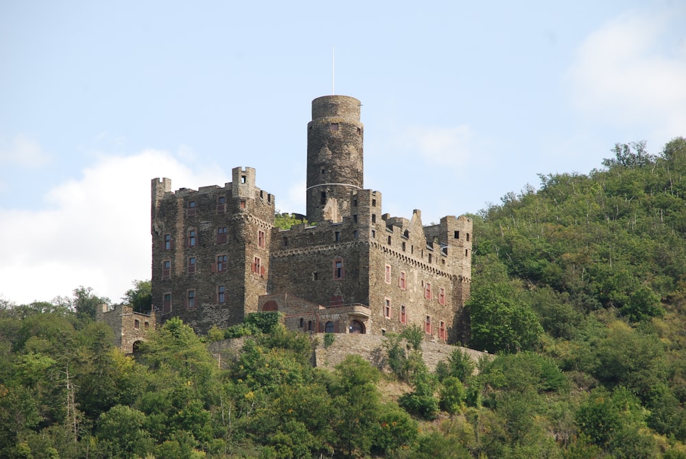 a castle on top of a hill surrounded by trees