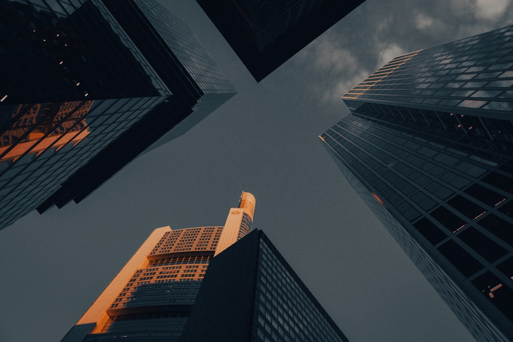 looking up at tall buildings in a city