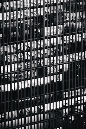 a black and white photo of a bunch of windows