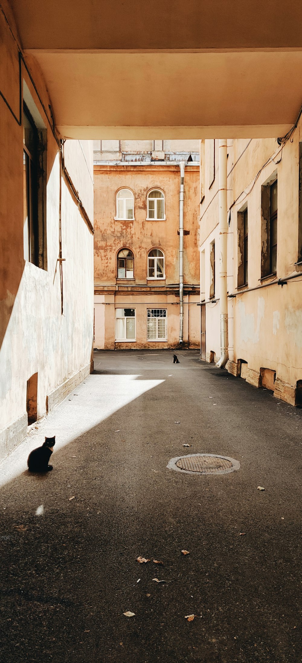 a black cat sitting on the floor of a building