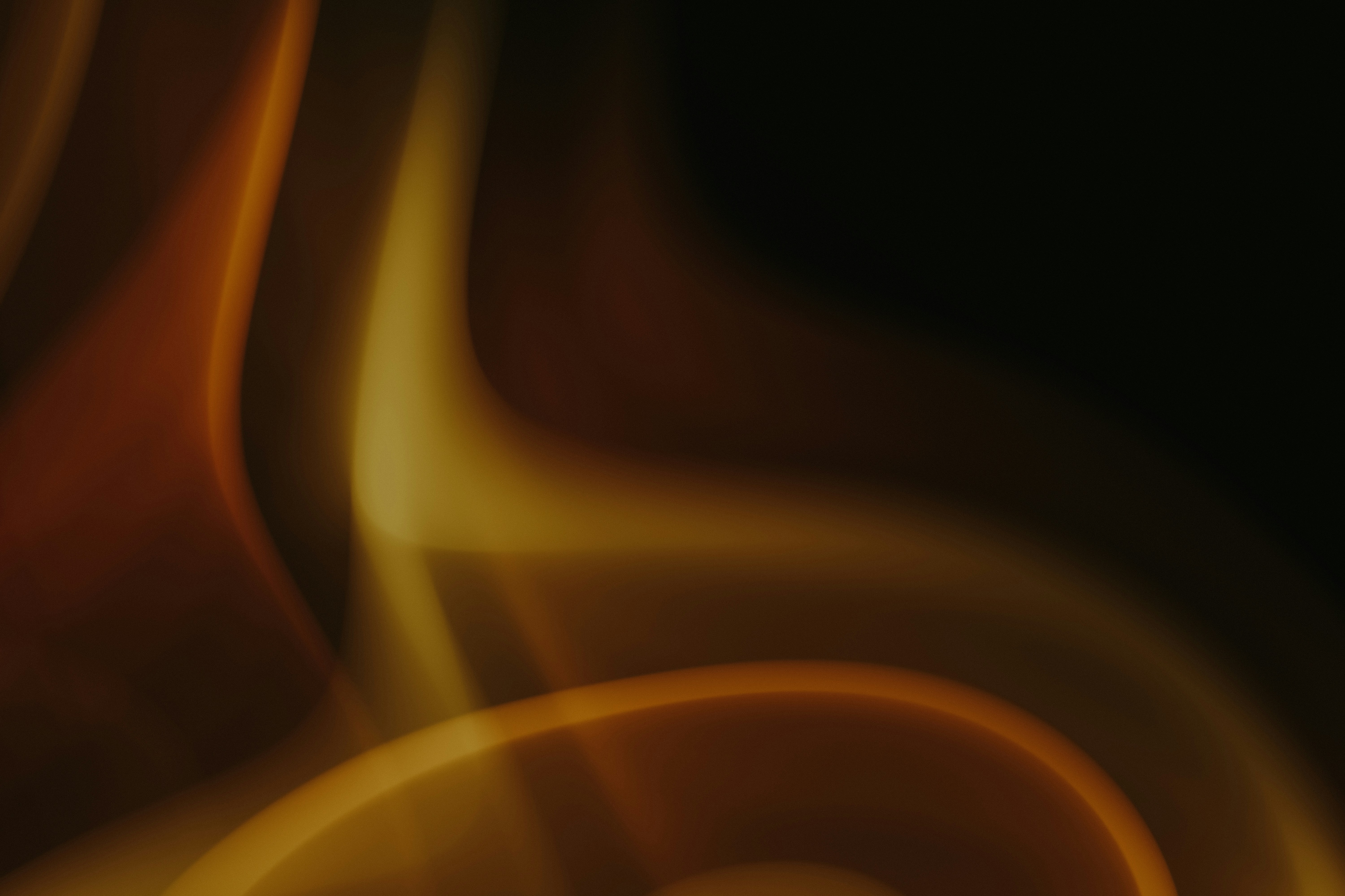 Coalition Calculus: Building Advocacy Alliances That Survive Internal Tensions