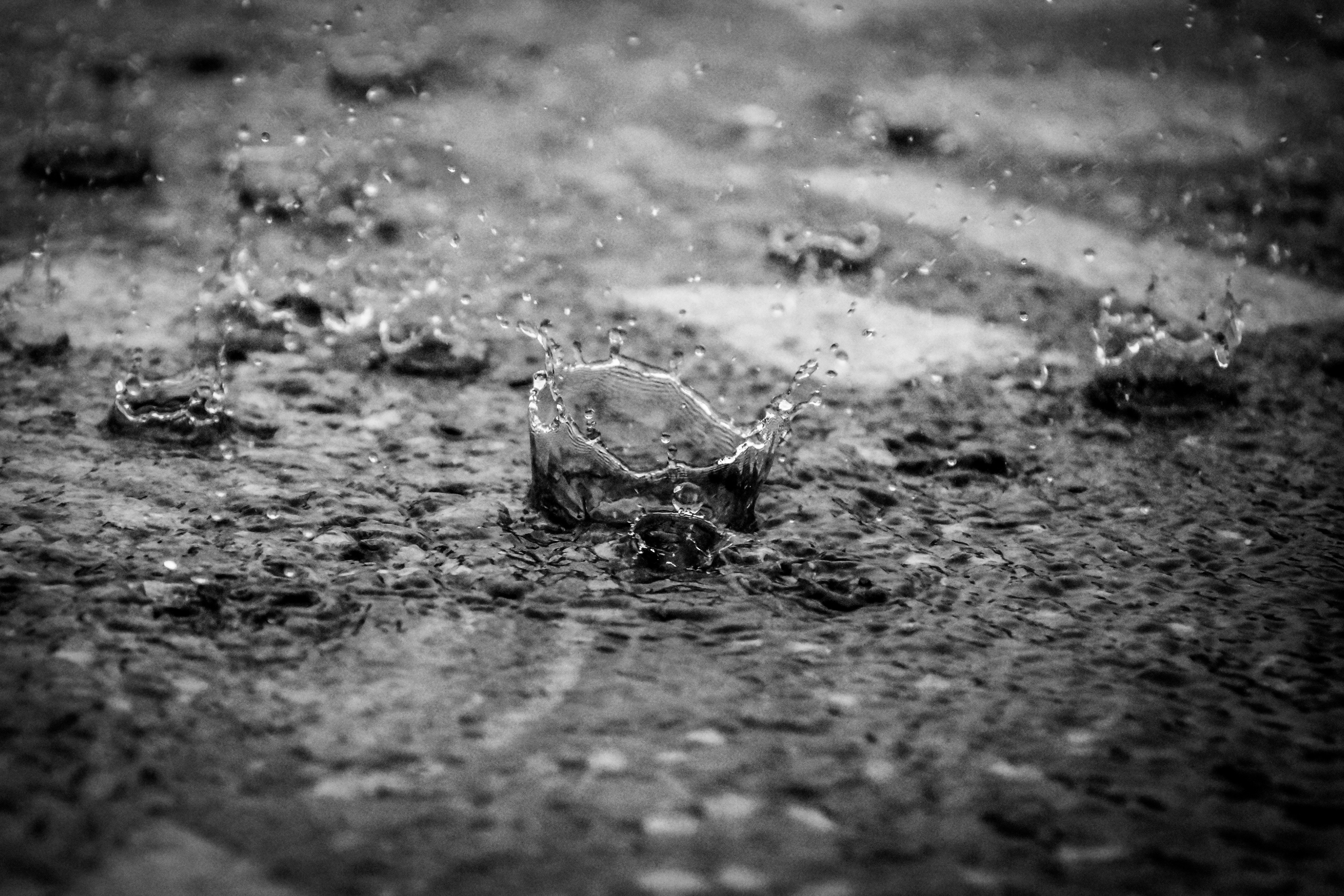 Photo by ankita_clicks