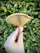 A serene close-up of a person holding a small cluster of fresh medicinal mushrooms in natural sunlight.