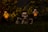 A Halloween-themed setup featuring a skeleton partially buried in the grass with two glowing ghost figures on either side. The scene is set against a backdrop of dark foliage, with the glowing ghosts providing an eerie ambiance to the night setting.