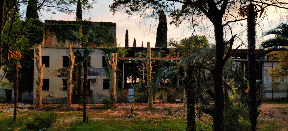 a run down building surrounded by trees and bushes