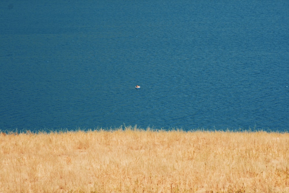 a large body of water sitting next to a dry grass field