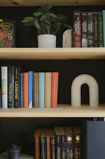 a bookshelf filled with lots of books next to a potted plant