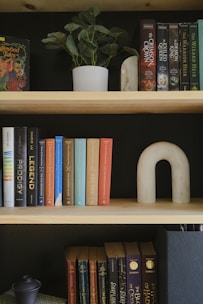 a bookshelf filled with lots of books next to a potted plant