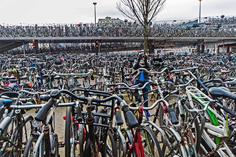 eine große Gruppe von Fahrrädern nebeneinander geparkt