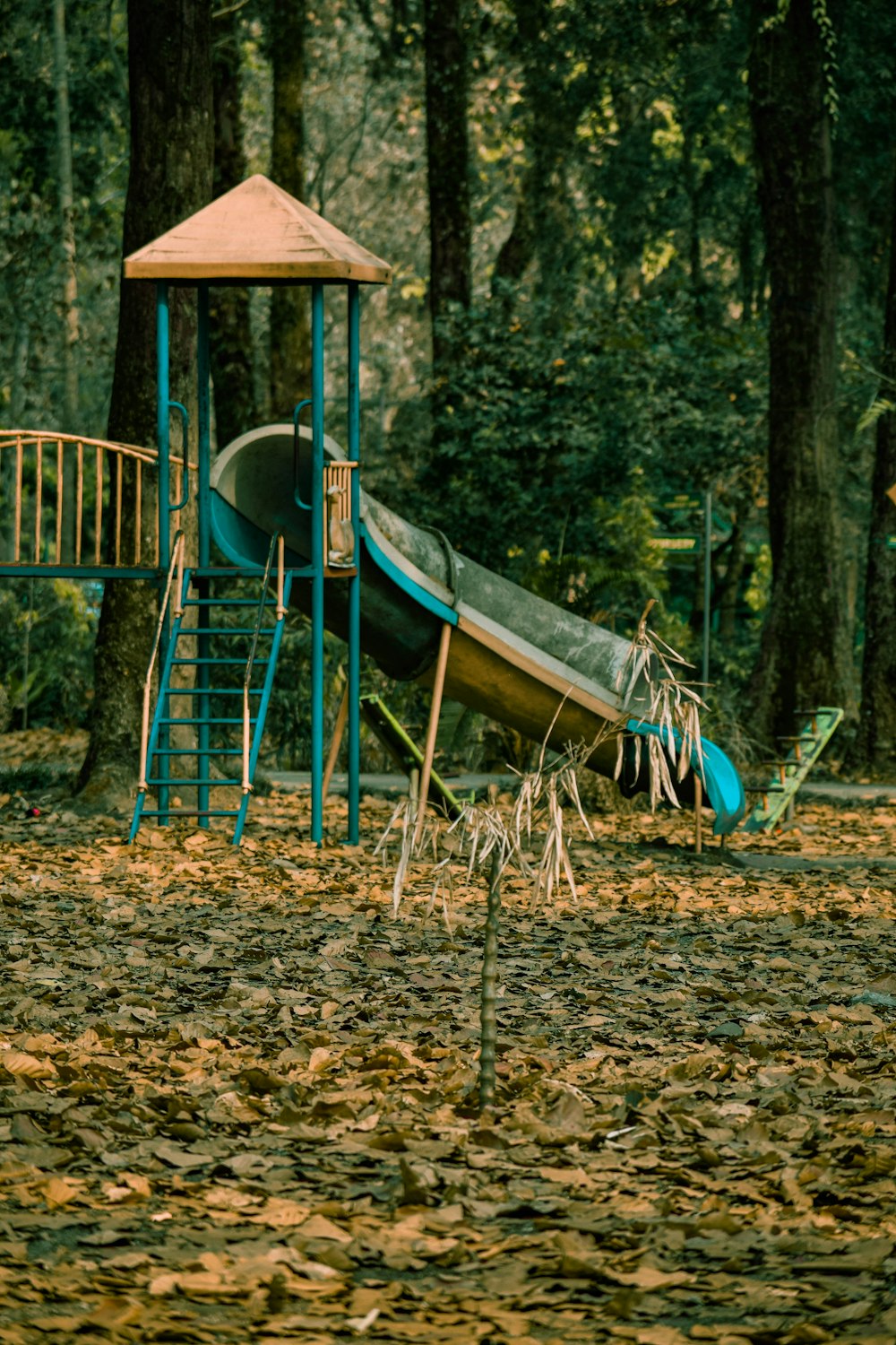 a playground in the woods with a slide