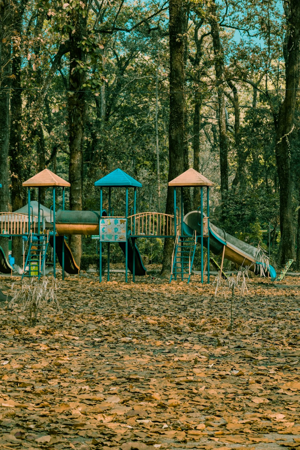 a playground in the middle of a wooded area