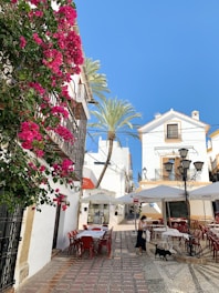 a woman sitting at a table in front of a white building
