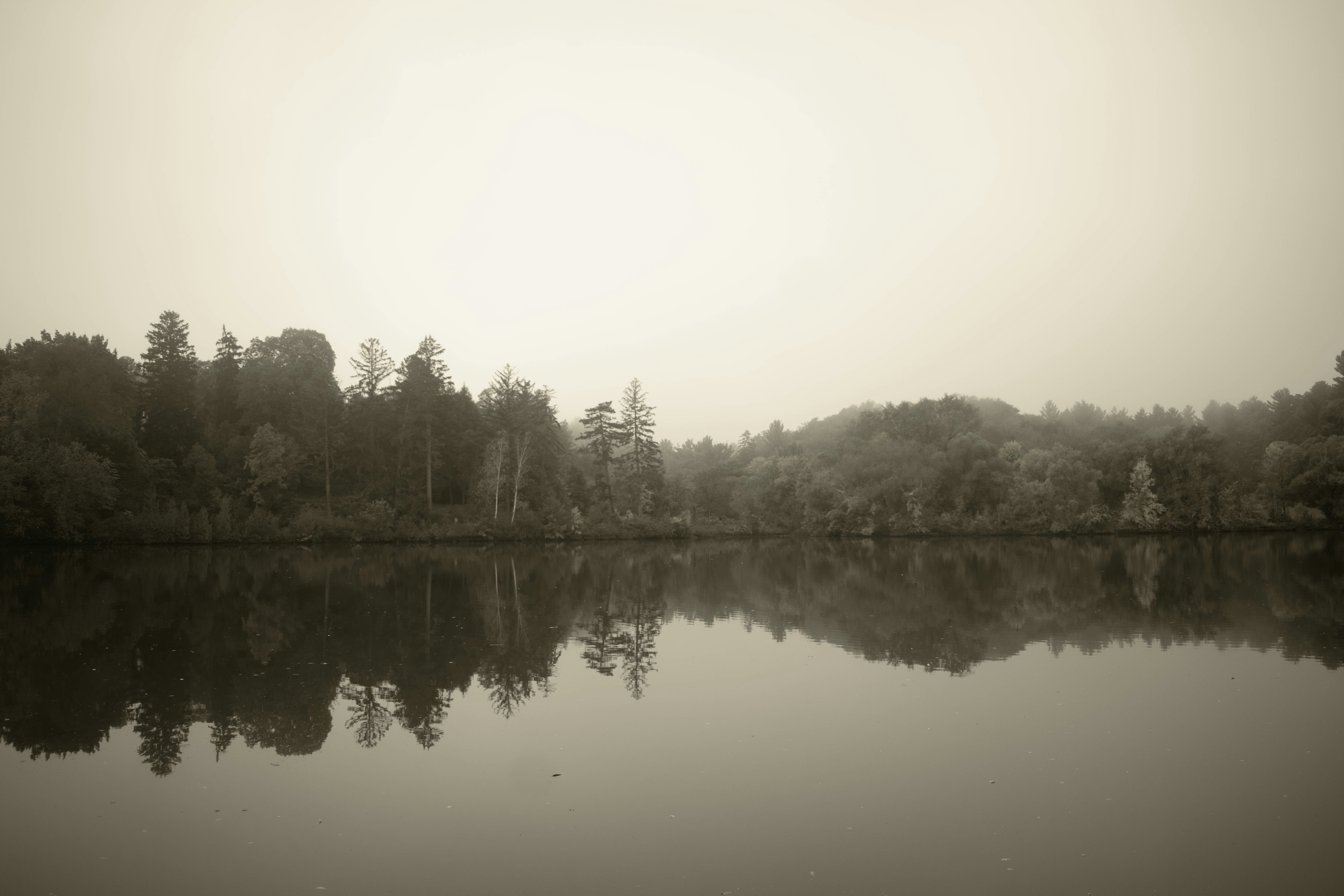 Photo by mariahhewines