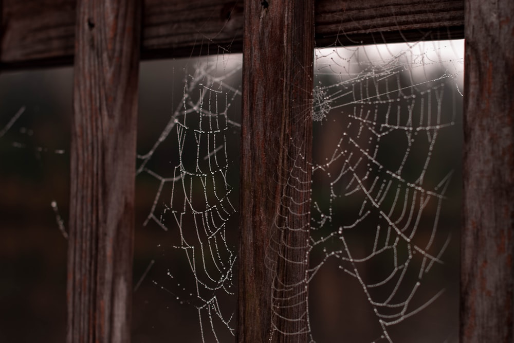 a close up of a spider web on a window