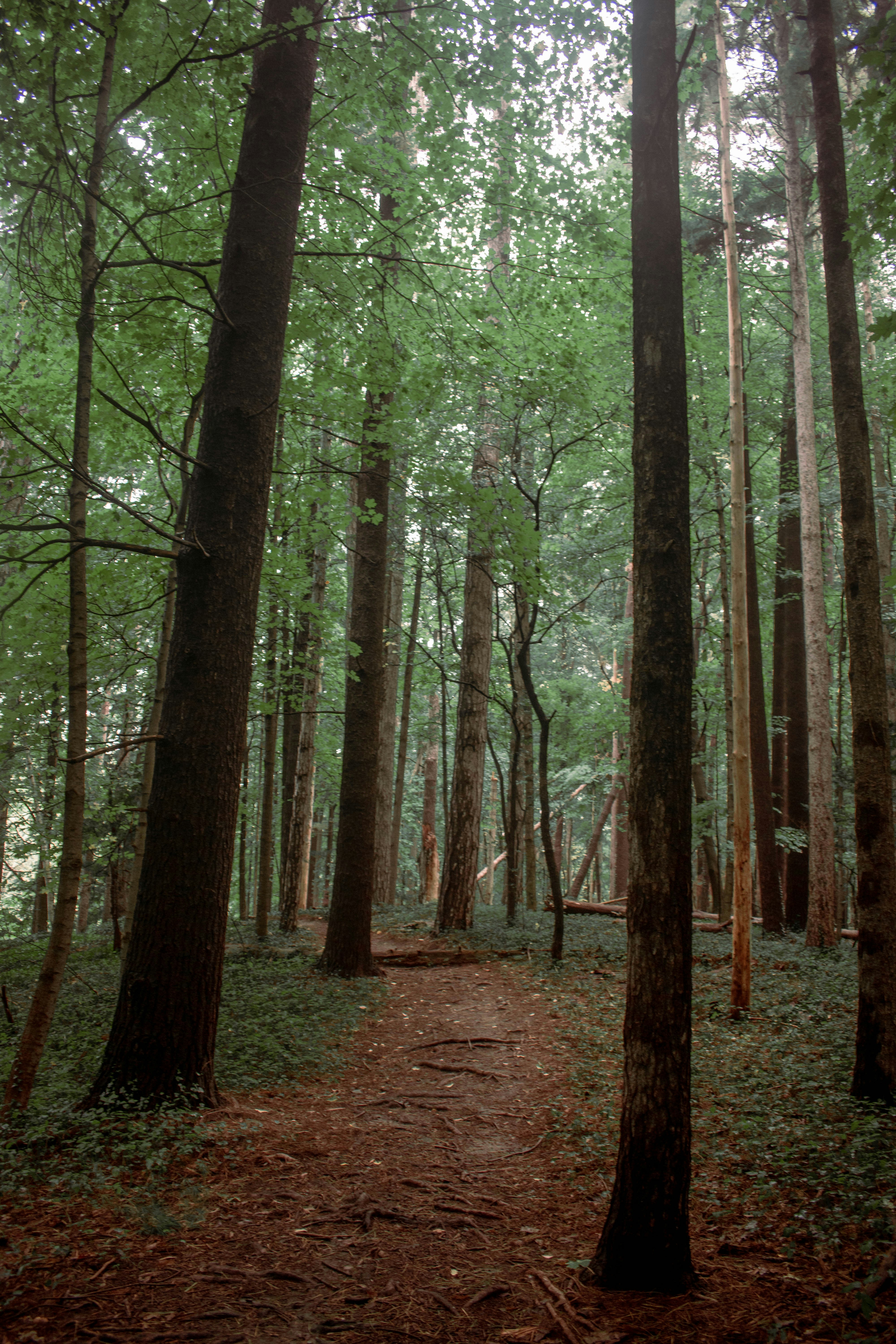 Photo by mariahhewines