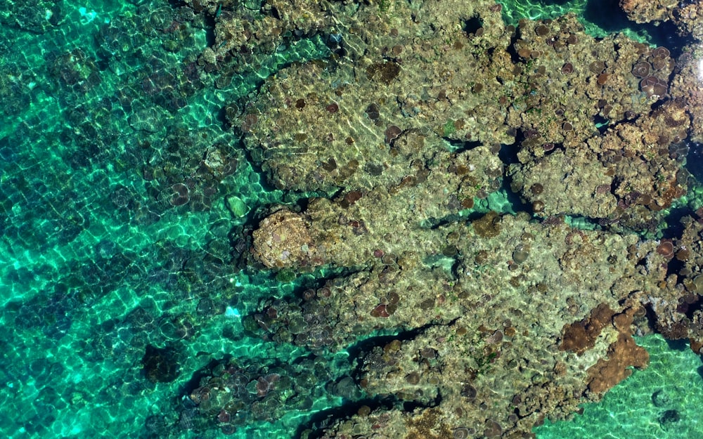 an aerial view of the water and rocks