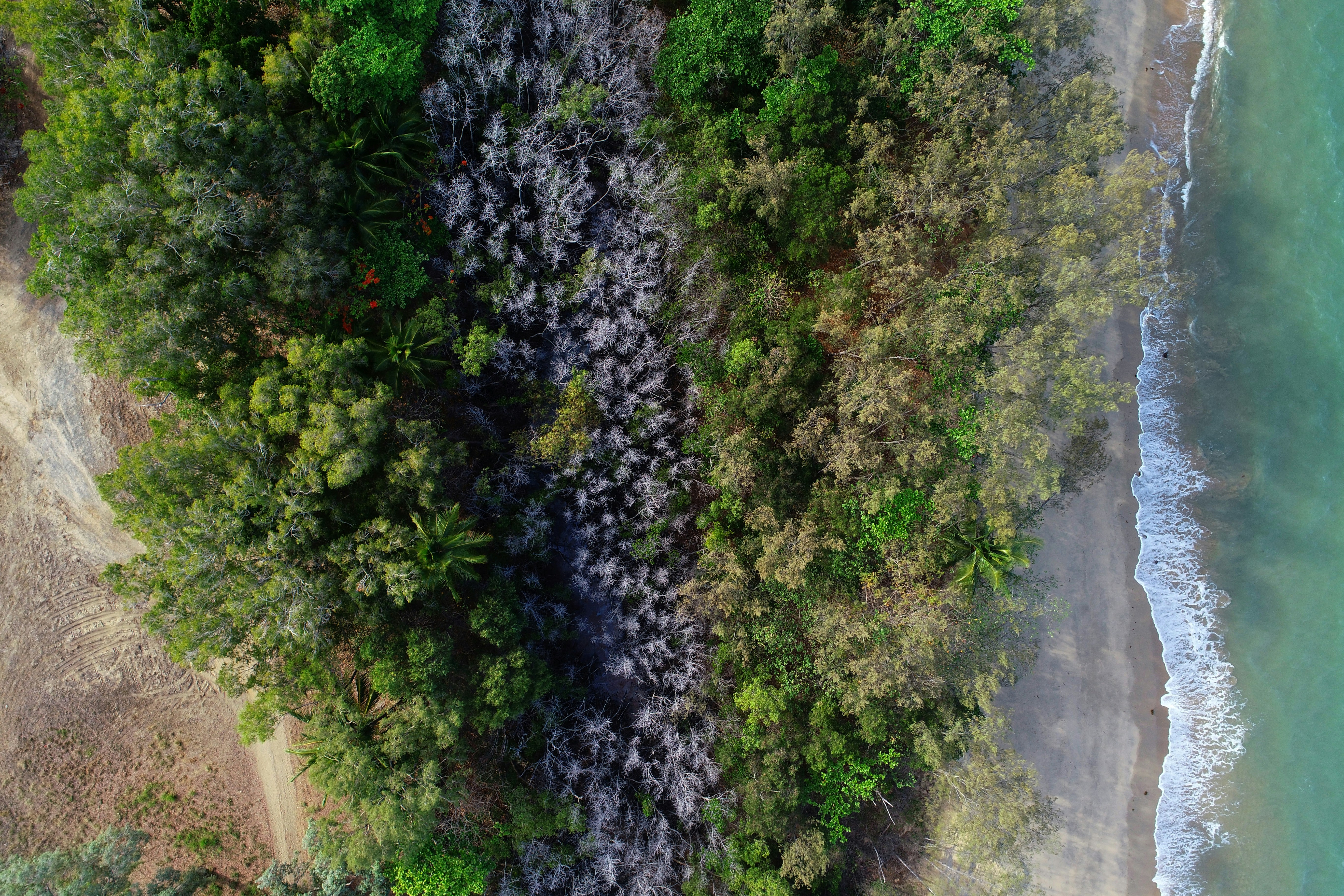 gray computer monitor