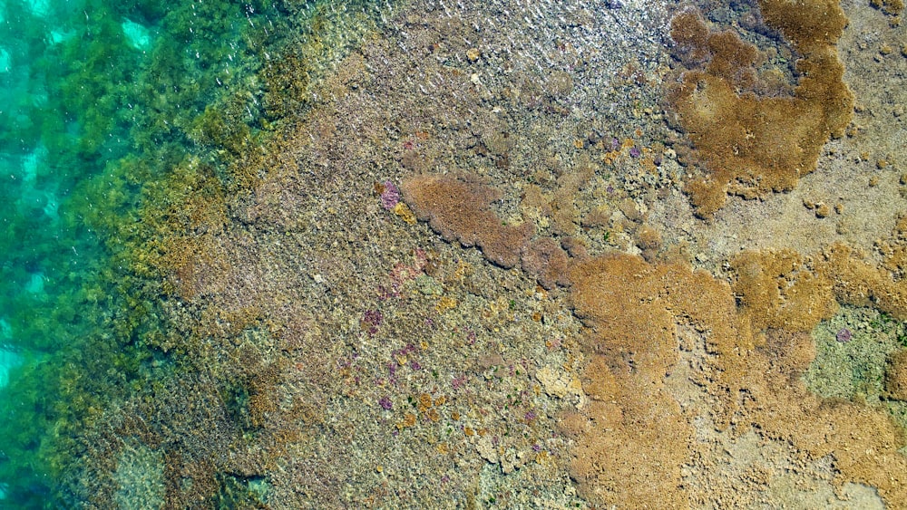 an aerial view of a body of water