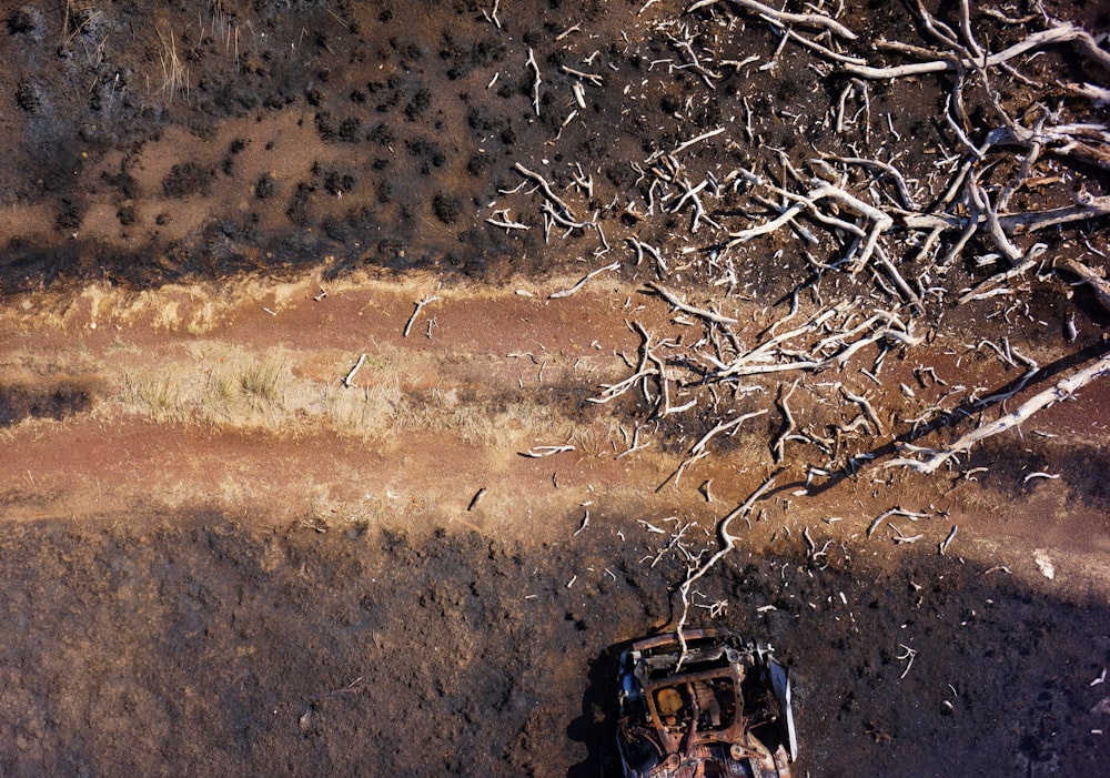 an aerial view of a dirt field with trees