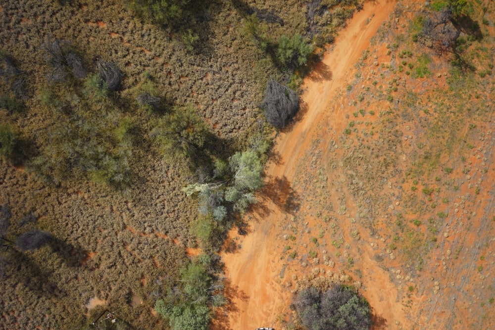 an aerial view of a dirt road and trees