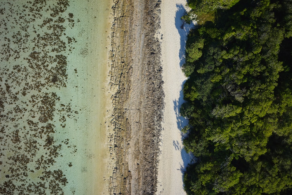 an aerial view of a beach and trees