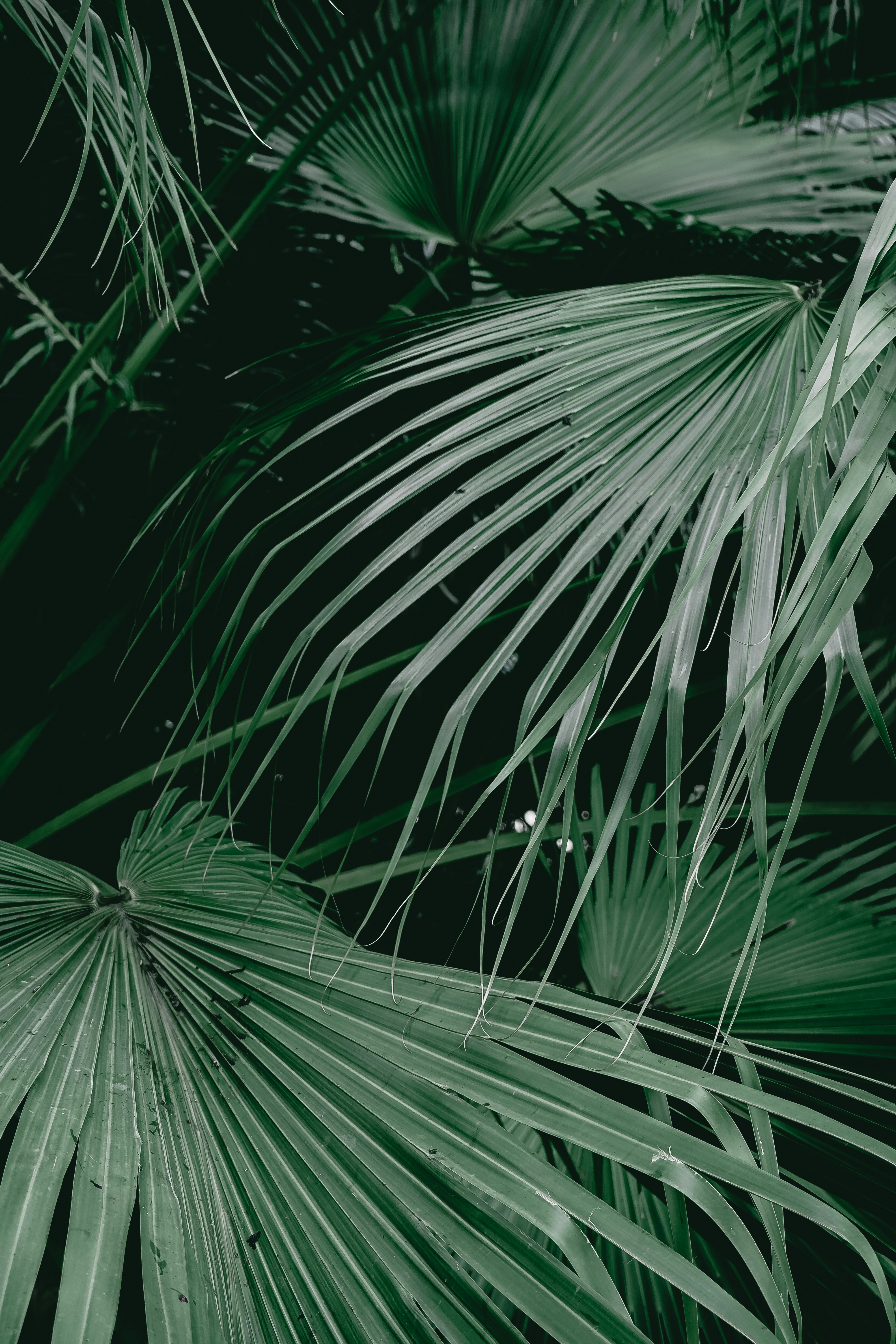 Photo by dr_arthur05