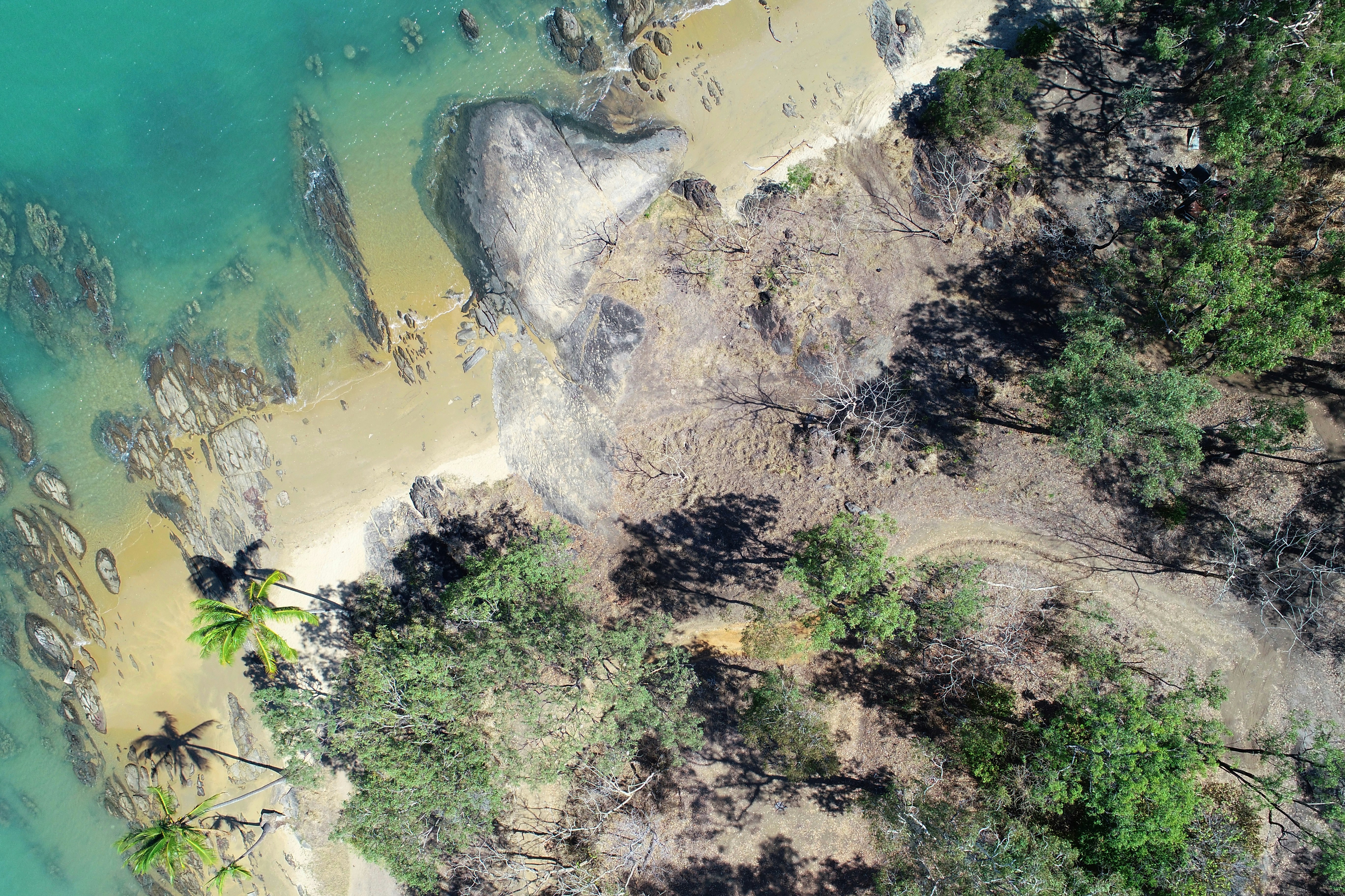 a bird's eye view of a beach and trees