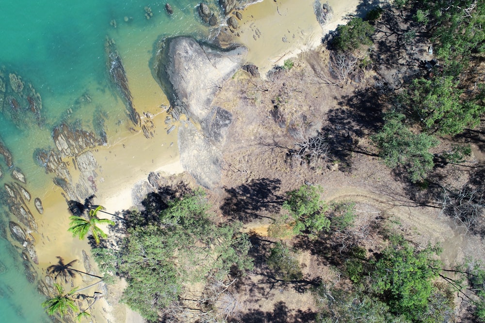 a bird's eye view of a beach and trees