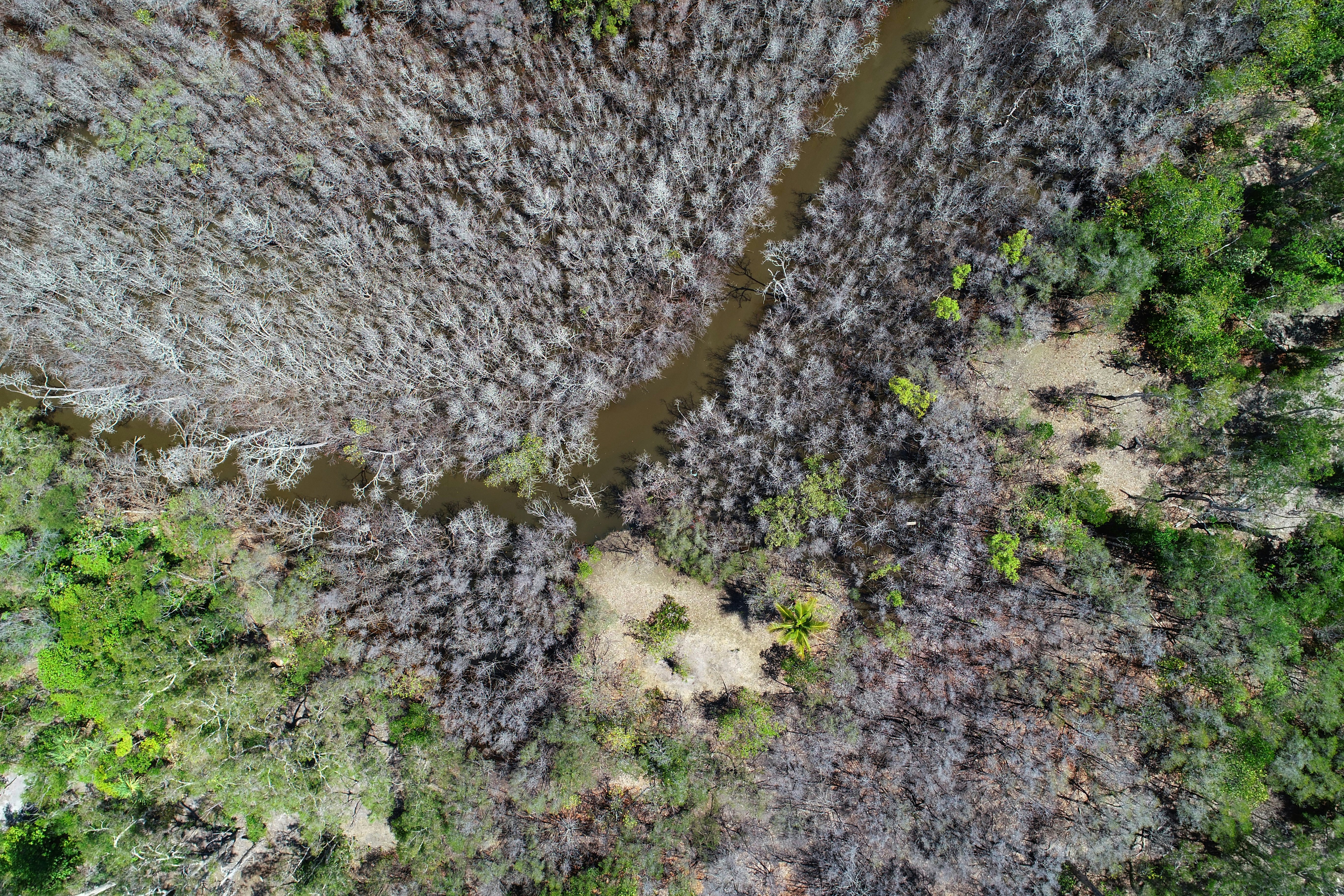 photo 1633822987257 d8bb429c9ba6?crop=entropy&cs=tinysrgb&fit=max&fm=jpg&ixid=M3w1MjQ0NjR8MHwxfHNlYXJjaHwxMXx8TWFwcGluZyUyMGRyb25lfGVufDB8MHx8fDE3NDMyMjE3NzV8MA&ixlib=rb 4.0