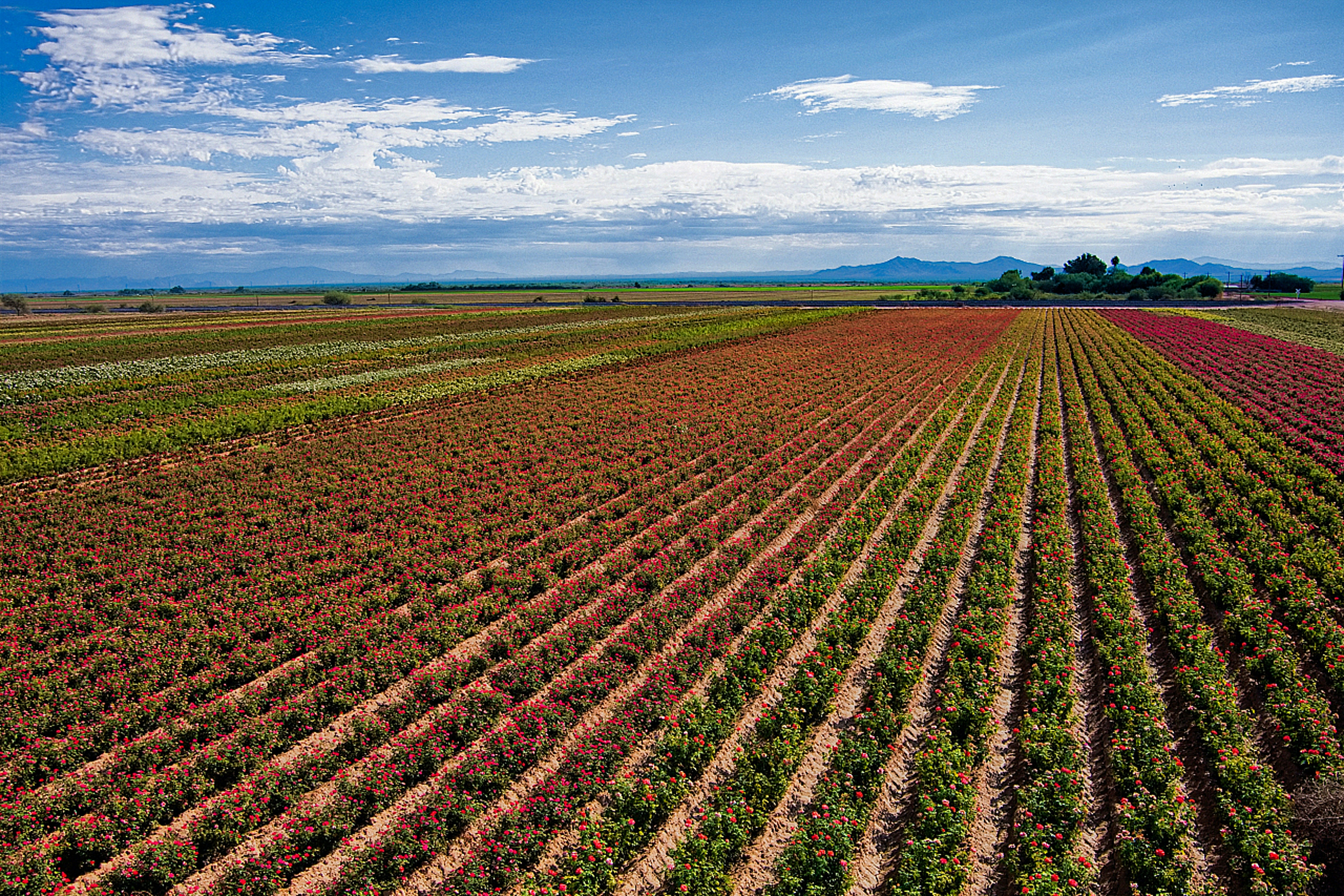 5 of the best eco hotels in Eloy Alfaro