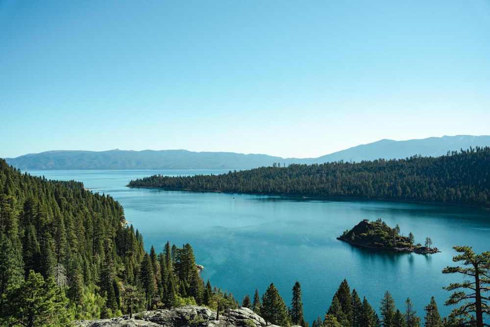 a large body of water surrounded by trees