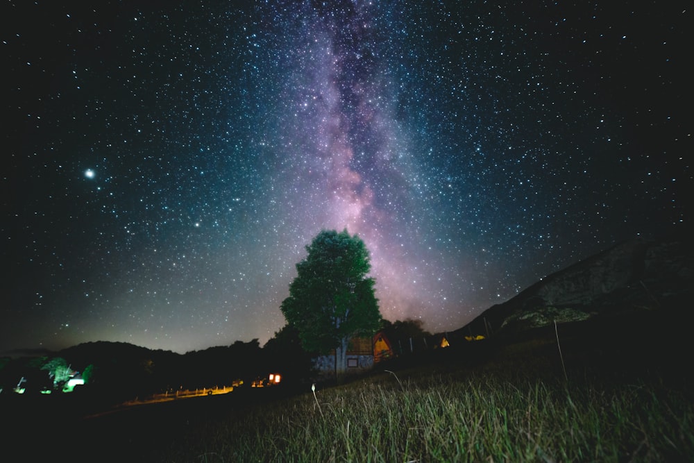 the night sky with stars and a tree in the foreground