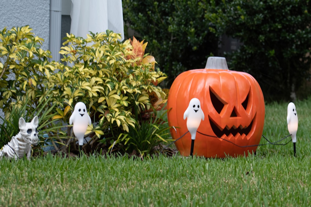 a couple of pumpkins sitting on top of a lush green field