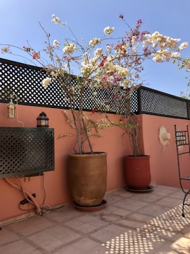 A sunny terrace with two large potted plants featuring blooming white and red flowers. The background includes a peach-colored wall with lattice detailing and mounted lanterns. A straw hat hangs on the wall, and there's a metal chair to the side. The floor is tiled, and the overall setup has a Mediterranean feel.
