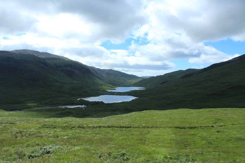 a grassy field with a lake in the middle of it