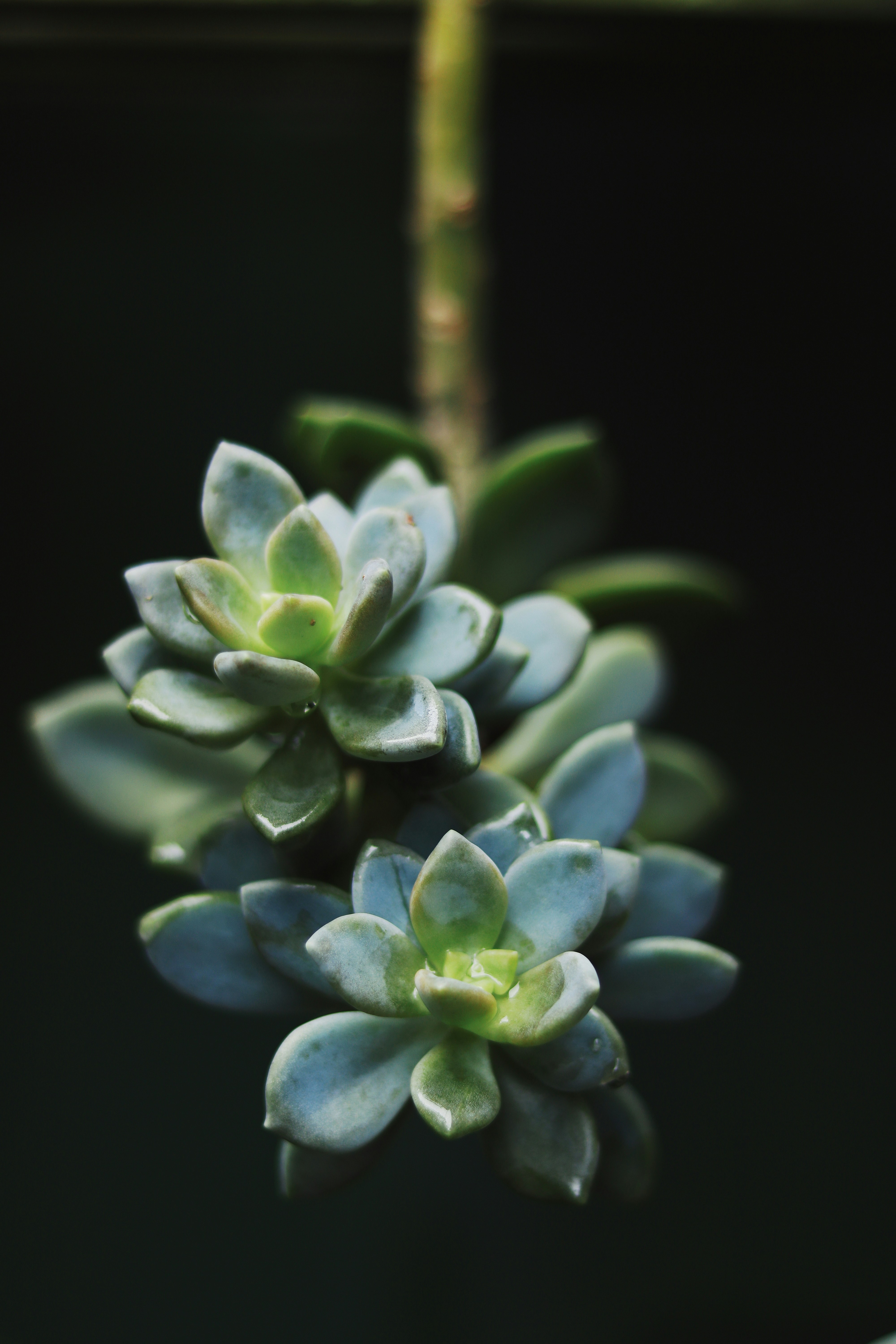 Photo by trongho
