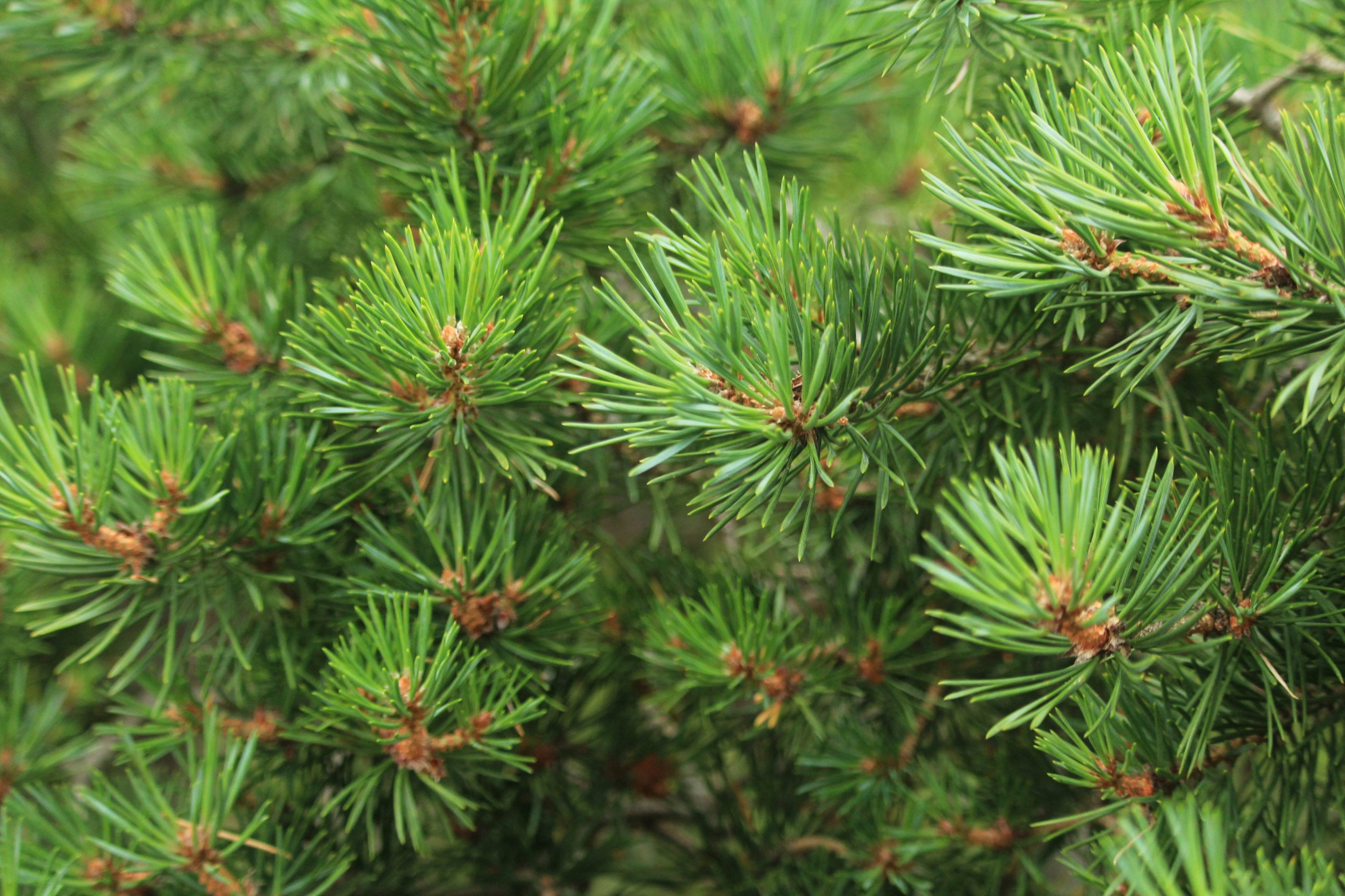 Photo by jeremyboley