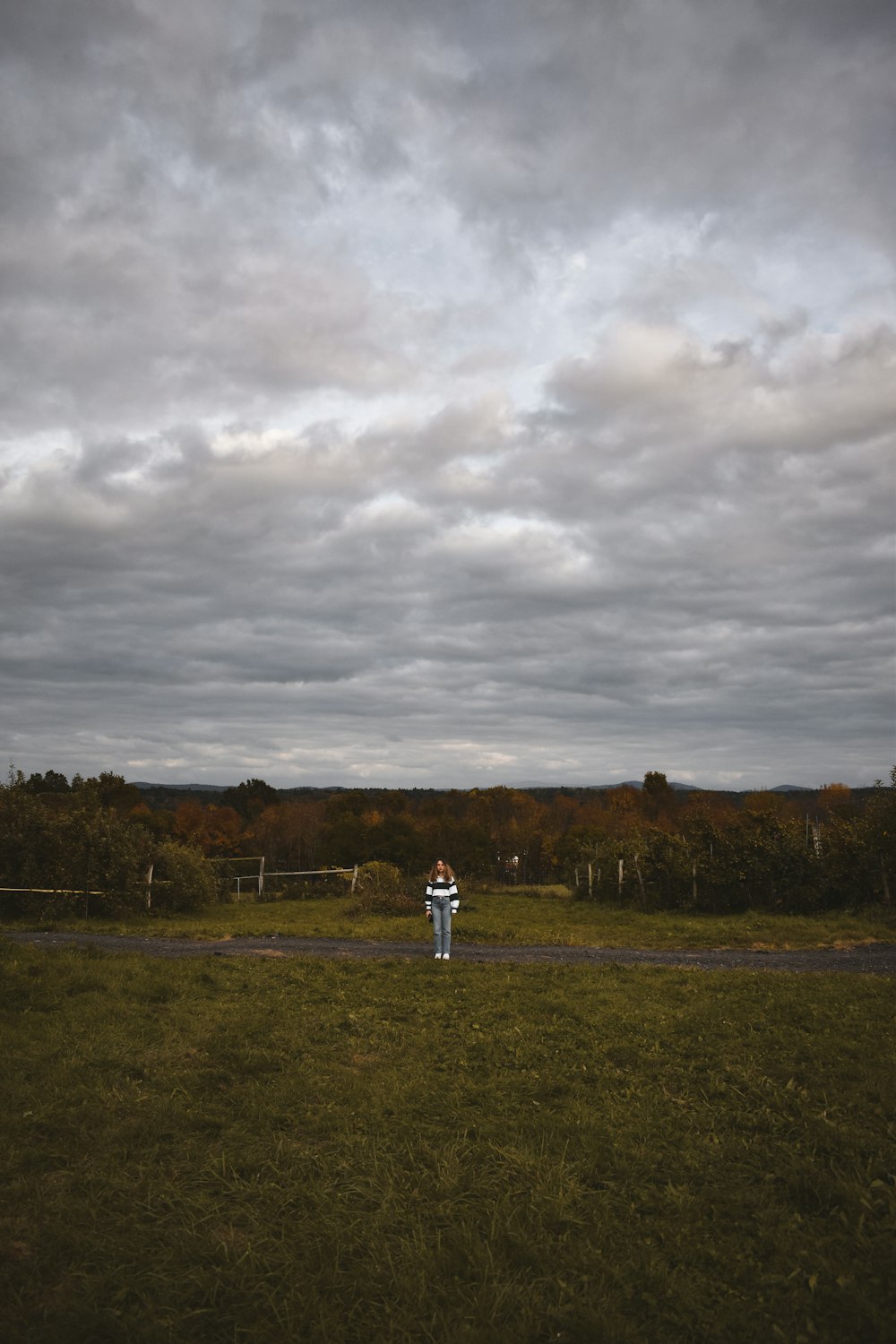 a person standing in a field flying a kite